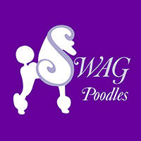 Swag Poodles Logo